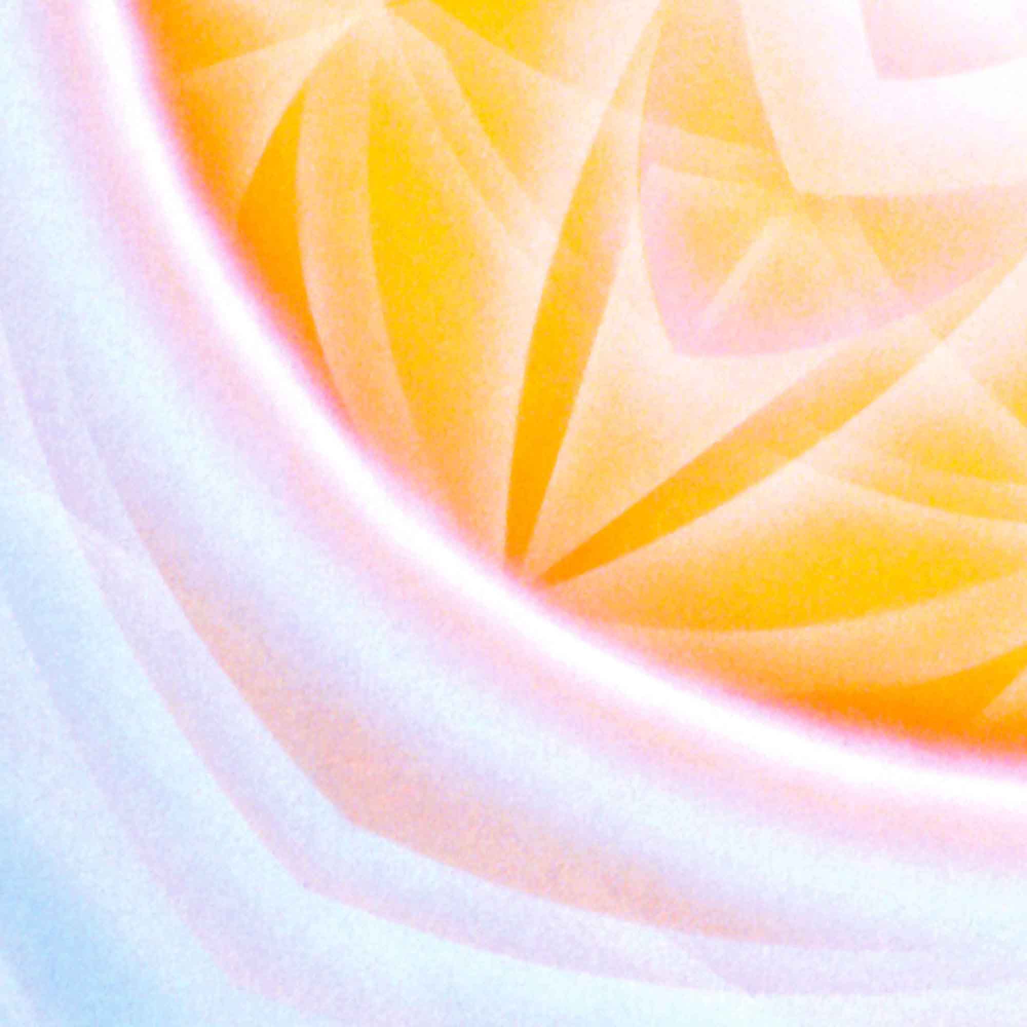 Sonnenblüte
