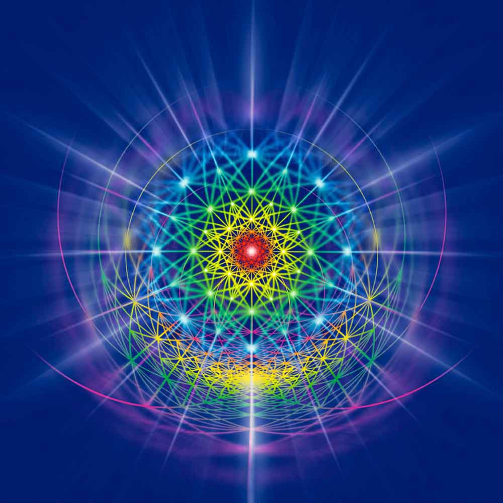 Cosmic Net