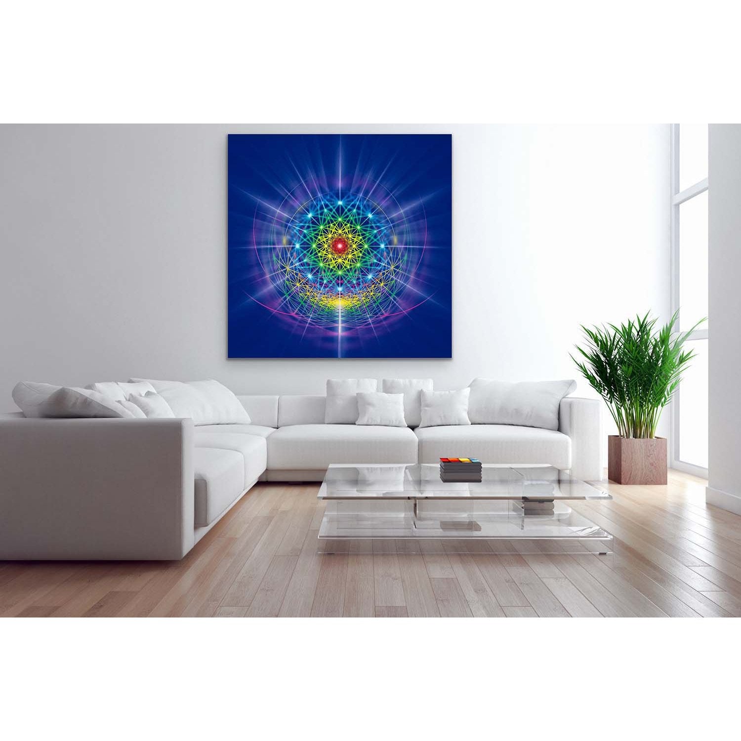Cosmic Net