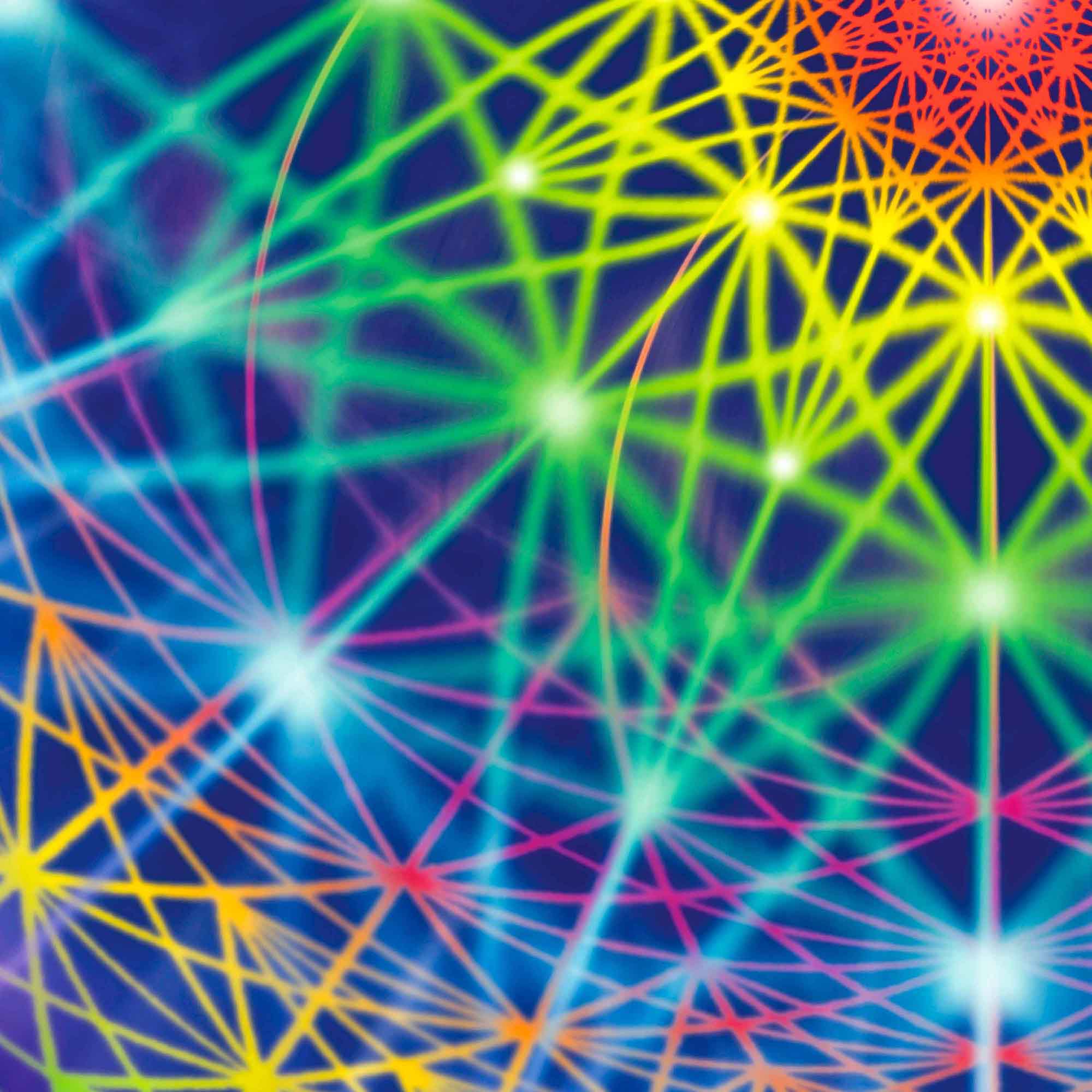 Cosmic Net