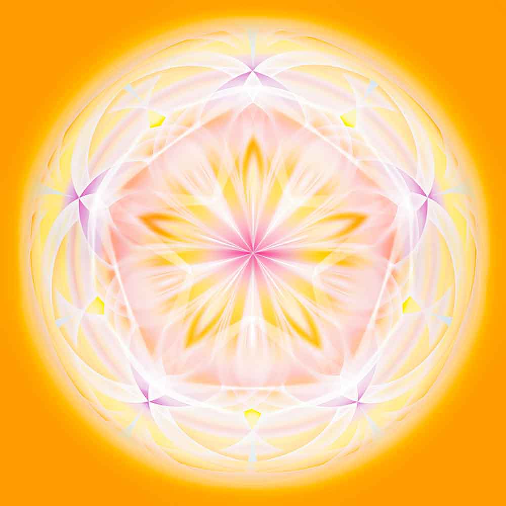 Sonnenblüte 2