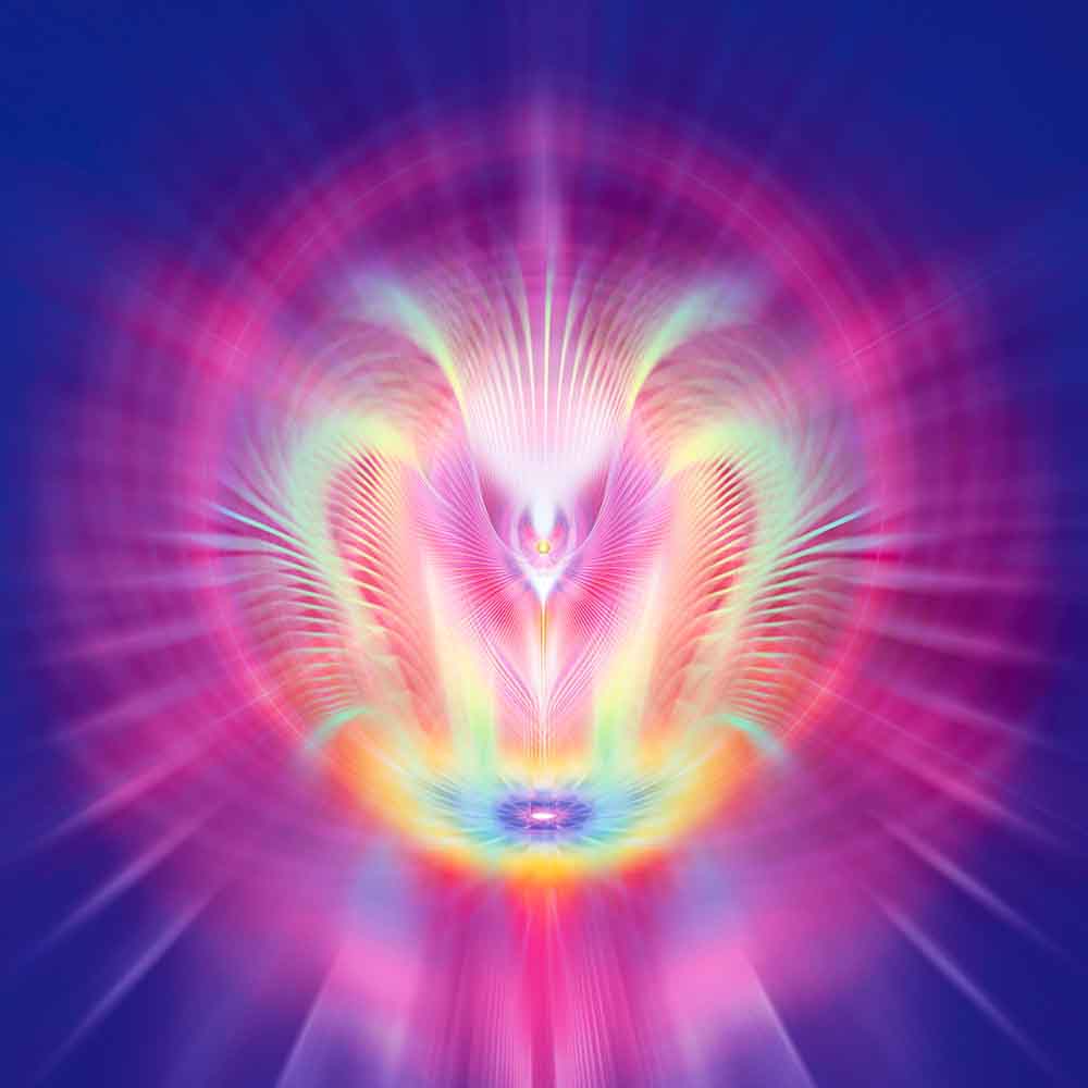 Violet Power